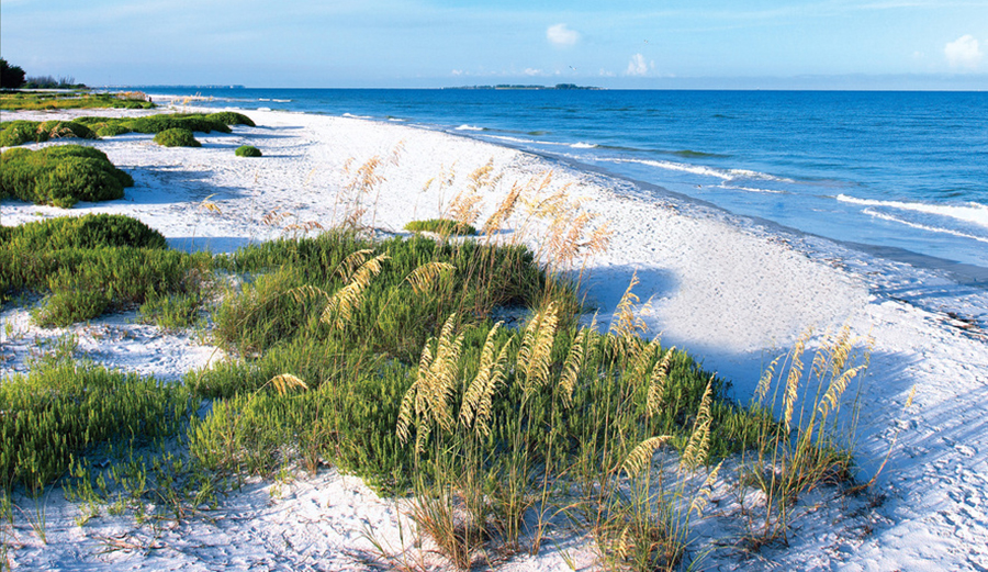 Photo: Pinellas County/Flickr