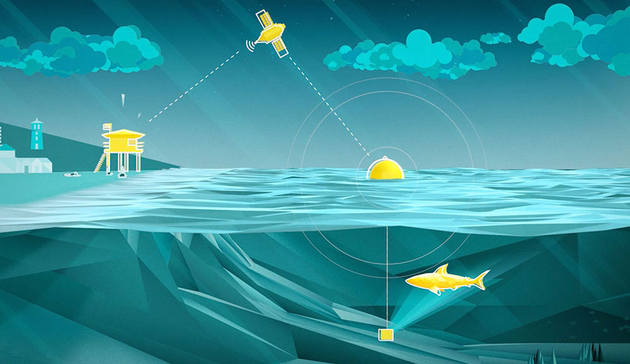 Using something similar to facial recognition, the Clever Buoy "sees" sharks over two meters and alerts lifeguards via an app.