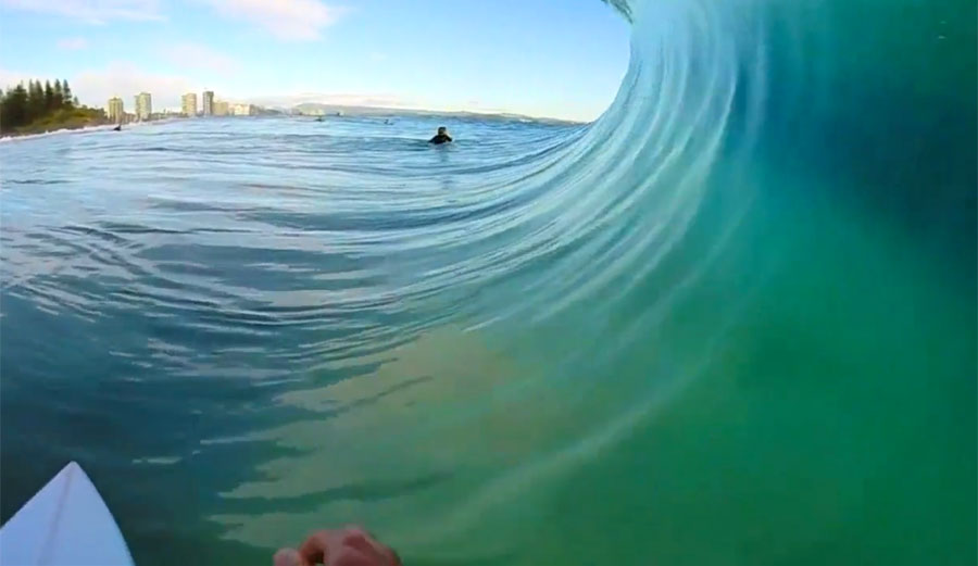 Snapper