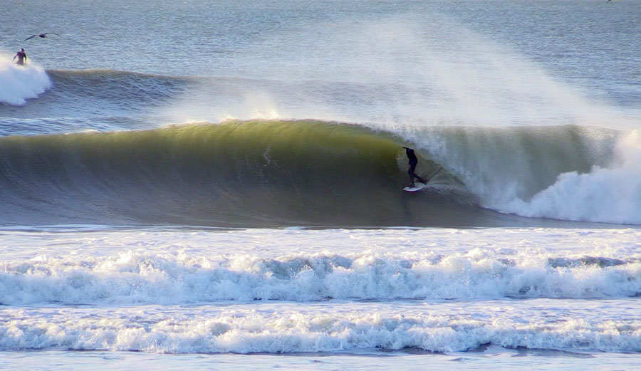 California Gold