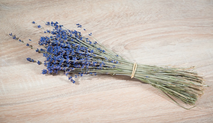 Photo: Shutterstock