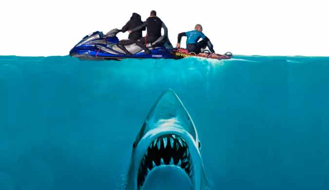 Shark attack numbers reached record heights in 2015.