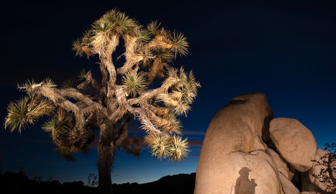 Photo: Shutterstock