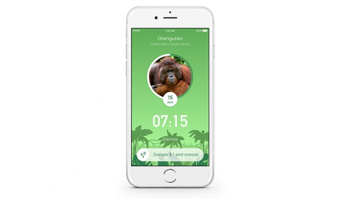 Alarmscreen_Rainforest