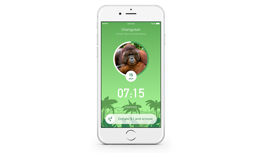 Alarmscreen_Rainforest