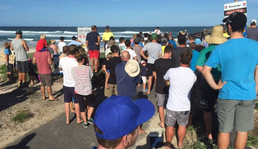150 protesters made their stance on the placement of the net known.