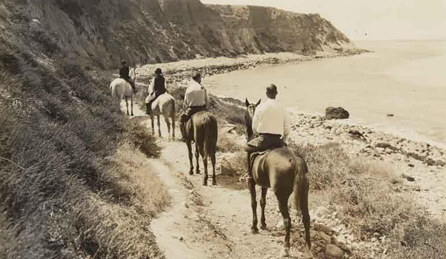 Palos Verdes