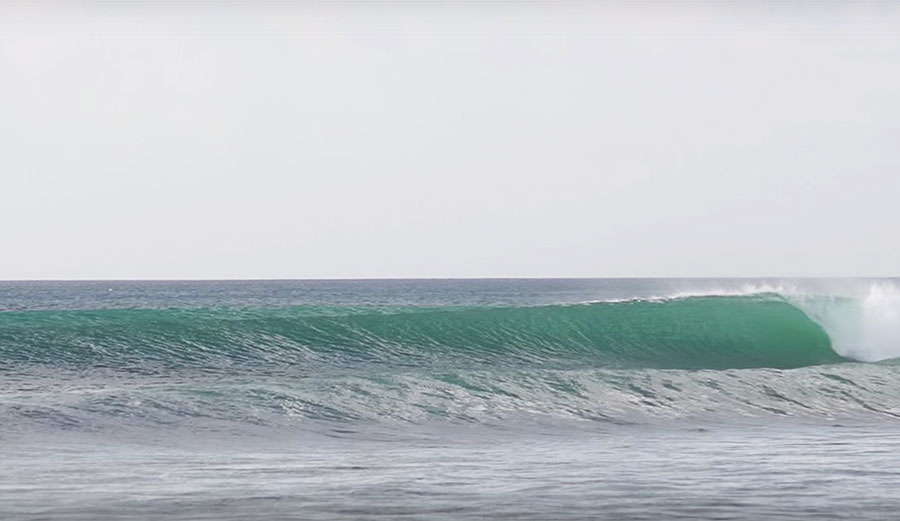 What Dillon Perillo found is as close to perfect as one can get.