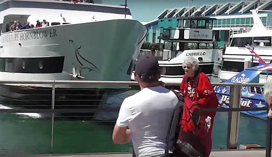 The cause of the crash was a malfunctioning propulsion system.