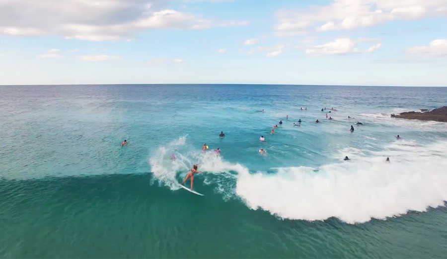 Coco Ho