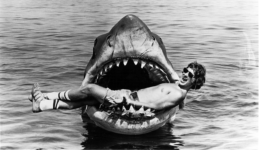 "Fuck your couch, shark! I'm insured!"