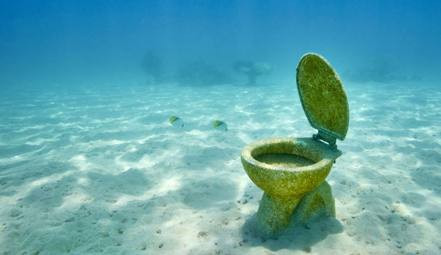 Just because there's a toilet in the water doesn't mean there should be human shit. Photo: Shutterstock