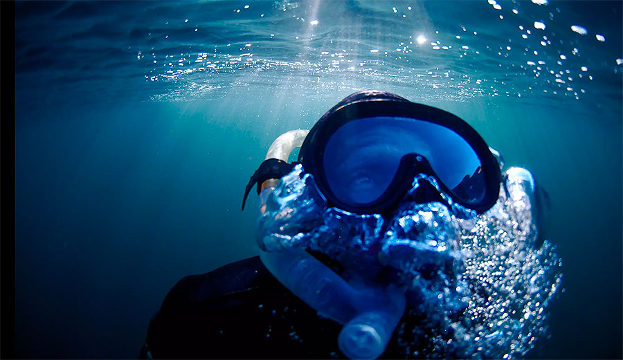 In his latest short flick, entitled The Urchin Hunter, Maassen focuses his lens on his dad, a sea urchin harvester.