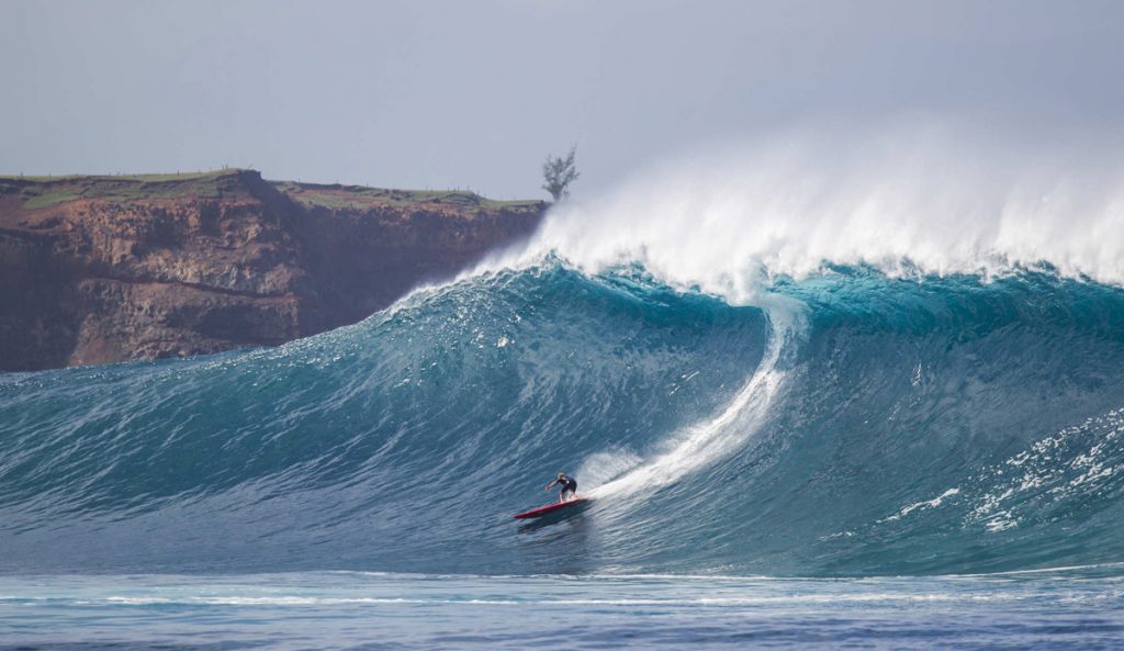 Coconut Willie Peahi
