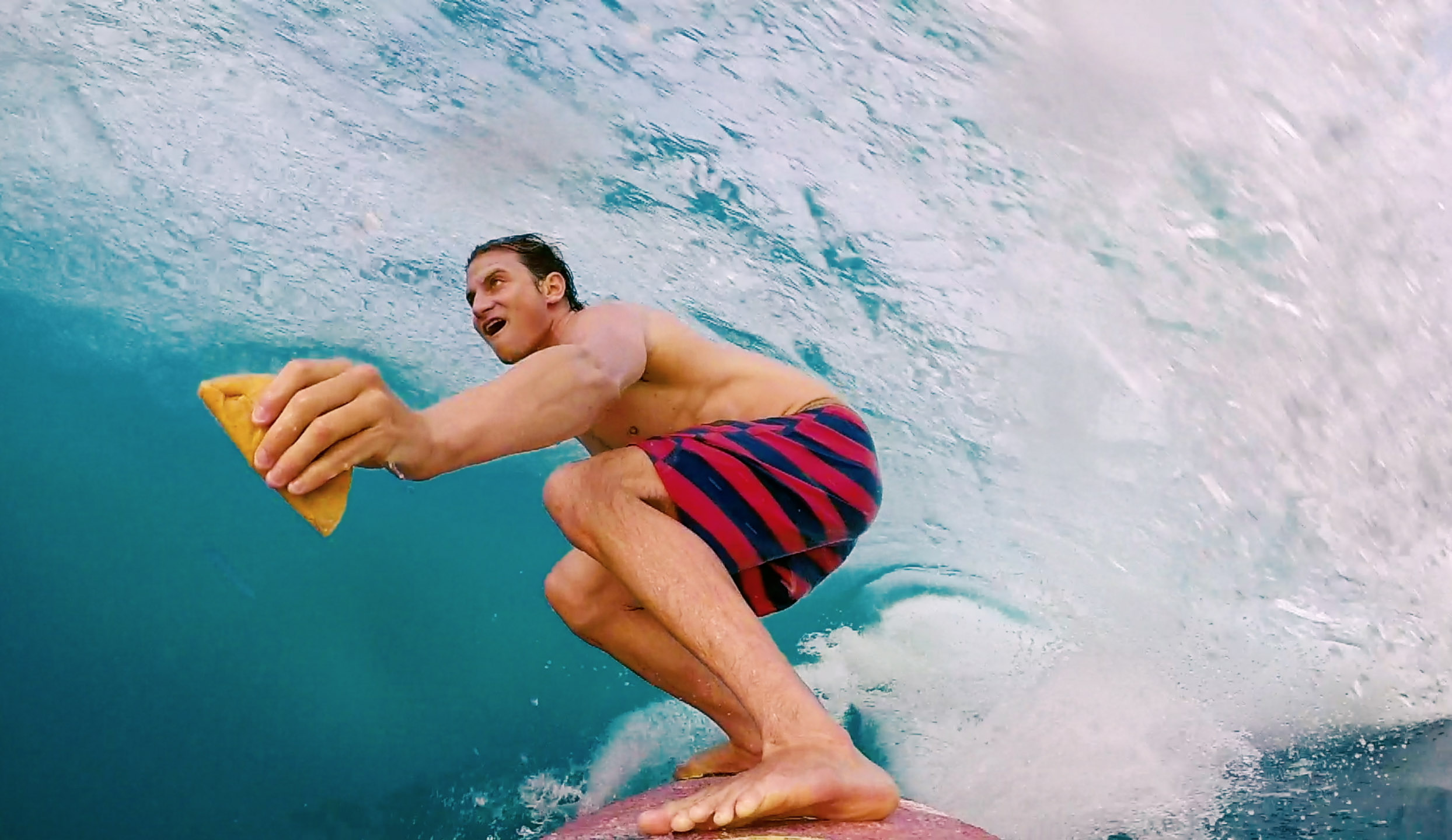 Alex gray Taco Barrel