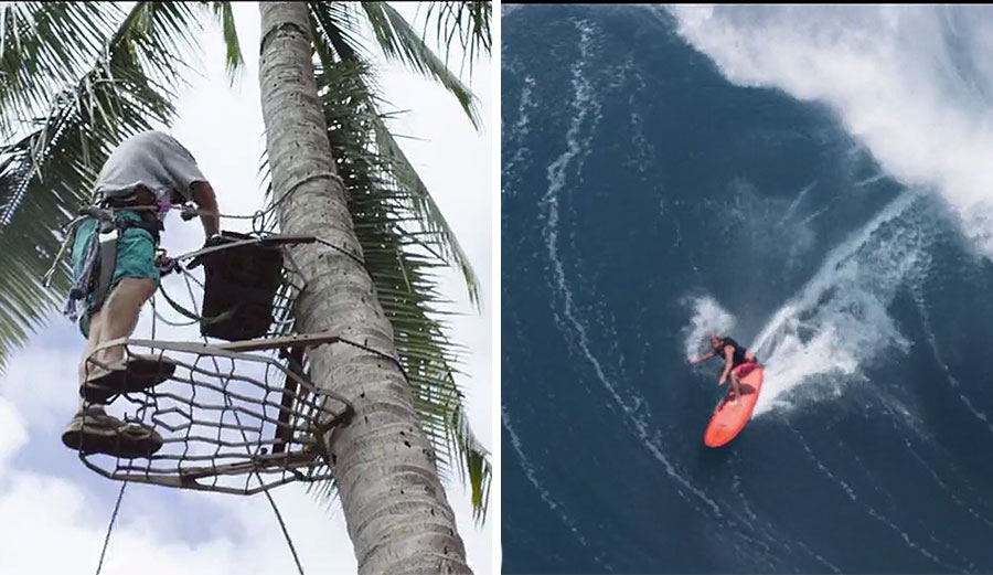 Maui’s best Coconut tree trimmer, frother, coconut enthusiast, Jaws charger, trademark claimer, Honolua wave magnet, and all around spunky guy.