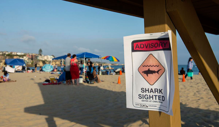 Shark attack sign