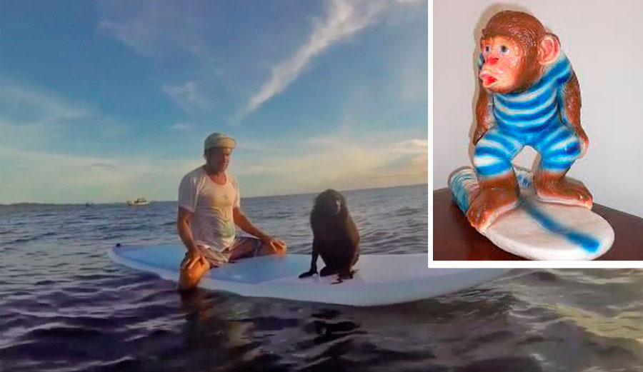 Beaker surfing monkey