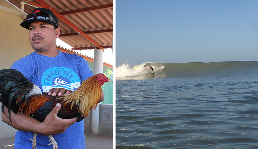 Photos: Derek Dodds