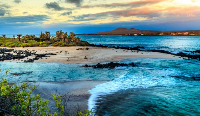 Photo: Shutterstock