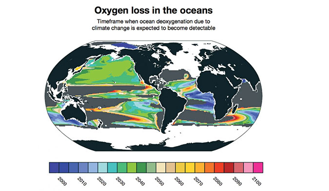 Deoxgenation due to climate change is already detectable in some parts of the ocean. New research from NCAR finds that it will likely become widespread between 2030 and 2040. Other parts of the ocean, shown in gray, will not have detectable loss of oxygen due to climate change even by 2100. (Image courtesy Matthew Long, NCAR.)