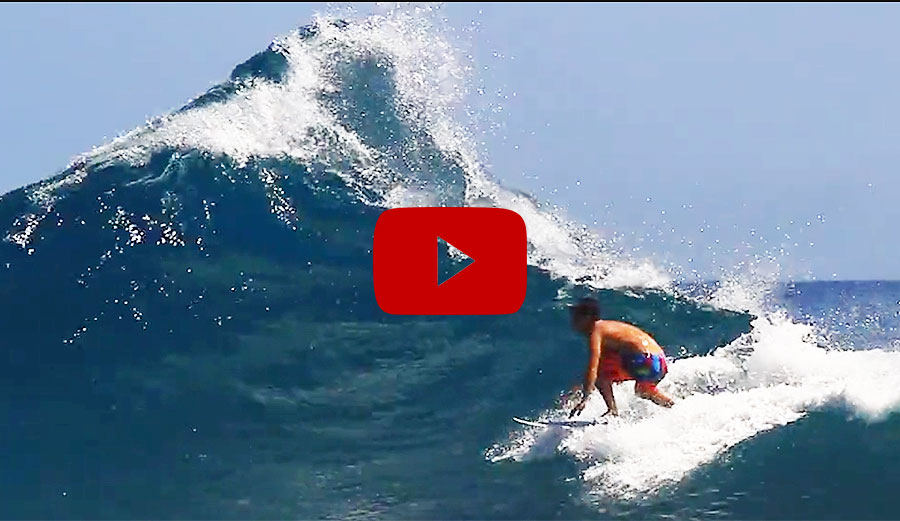 https://blog.lostenterprises.com/license-to-chill-hawaiian-hurricanes/