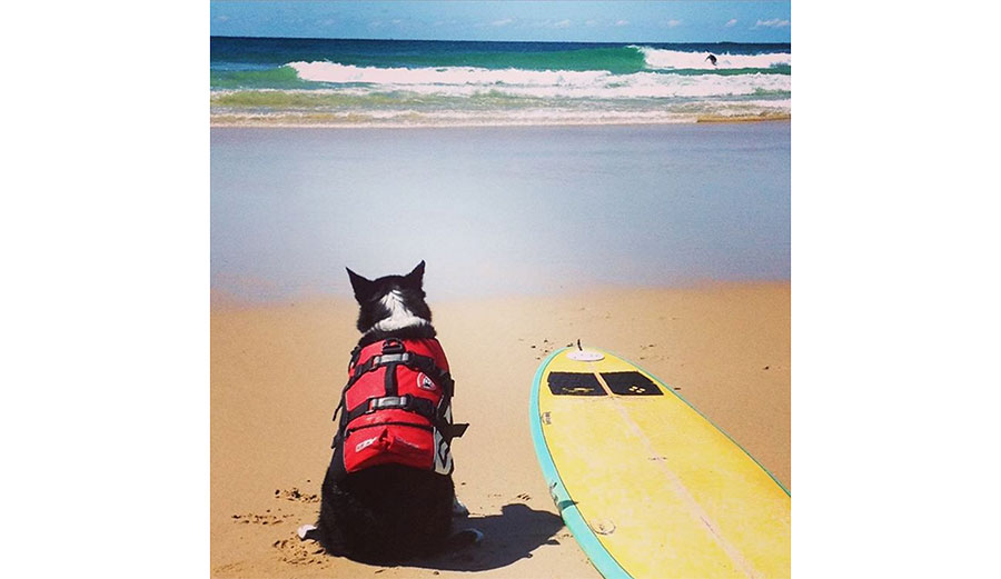 A lifejacket helped Mia feel more comfortable in the water. 