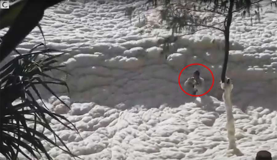 Sea Foam Guy