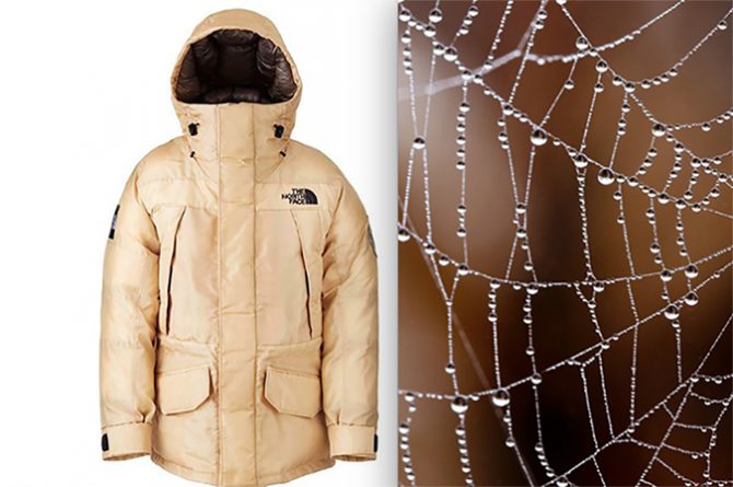 webs2