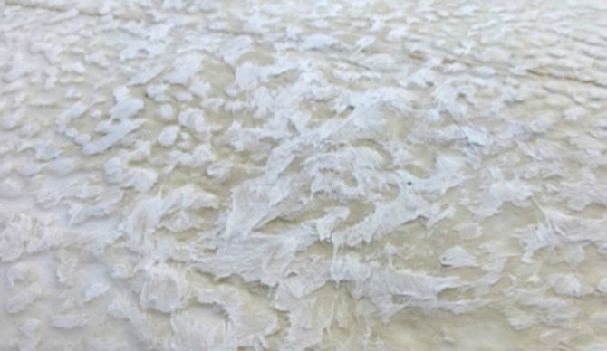 The sticky-icky Brazilian brand, Fu Wax, looking rather tacky. Photo: Fu Wax