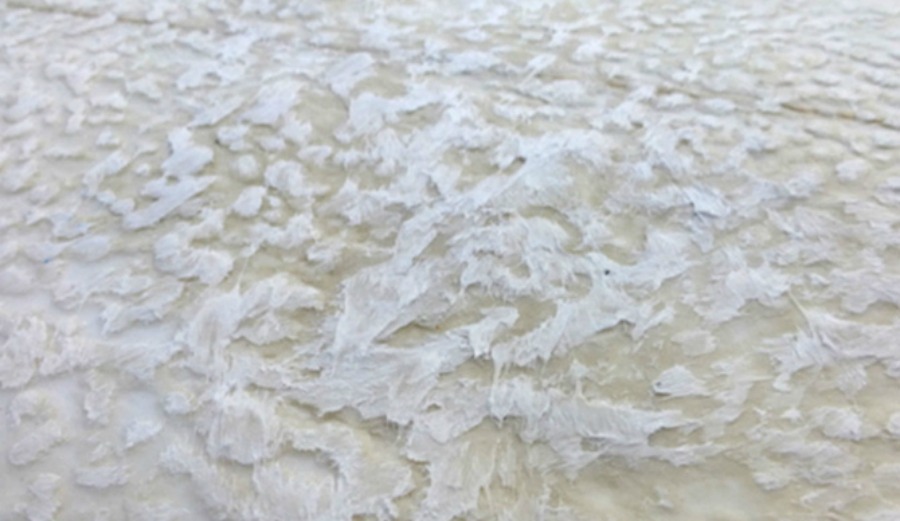The sticky-icky Brazilian brand, Fu Wax, looking rather tacky. Photo: Fu Wax