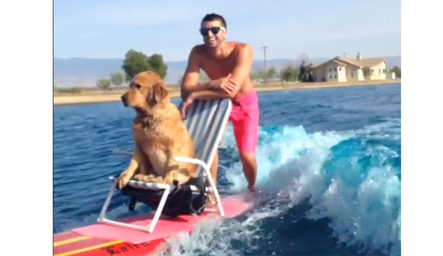 He has a tail that wags, something as simple as a stick or a tennis ball is a source of near-constant happiness, he actually enjoys things that smell bad, and he gets to chill on a lawn chair behind a boat.