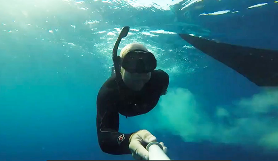 Most of us will never get to experience what it's like to get shit on by a whale shark.