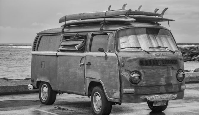 Ain't she pretty? Photo: Shutterstock