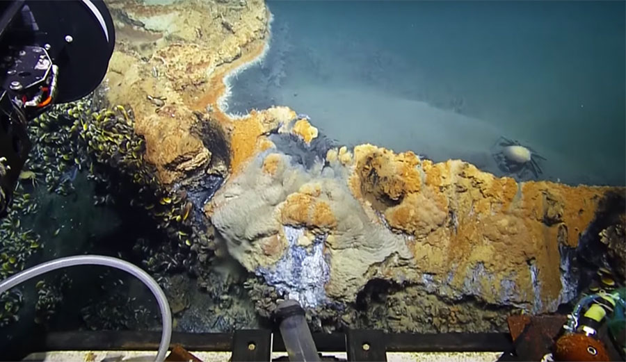 A dead crab lies at the edge of the brine pool some 3,300 feet below the surface of the Gulf of Mexico.