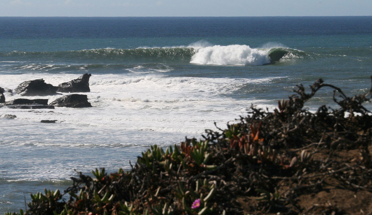 With any luck, next years' Titans of Mavericks event will have women includes. Photo: <a href="https://www.instagram.com/shannonreporting/"> @Shannonreporting</a>