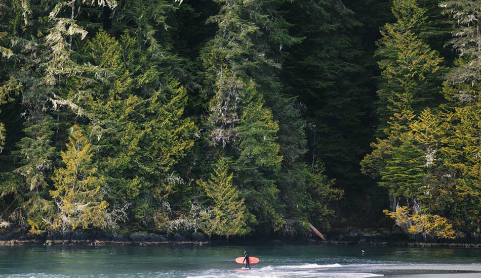 The Te Urewera Act which granted an 821-square-mile forest the legal status of a person. Photo: Gary Parker