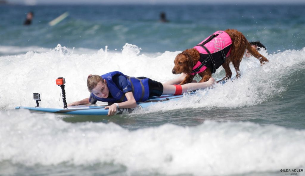 Ricochet the Surf Dog
