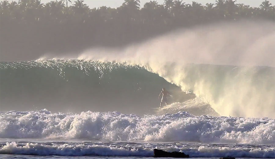 Sumatran Perfection at Soraki Point