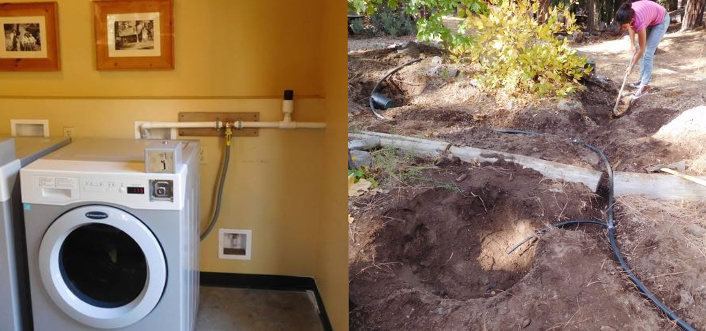 A grey water system shows how you can grow food and save money, while reducing sewage and CO2 emissions.
