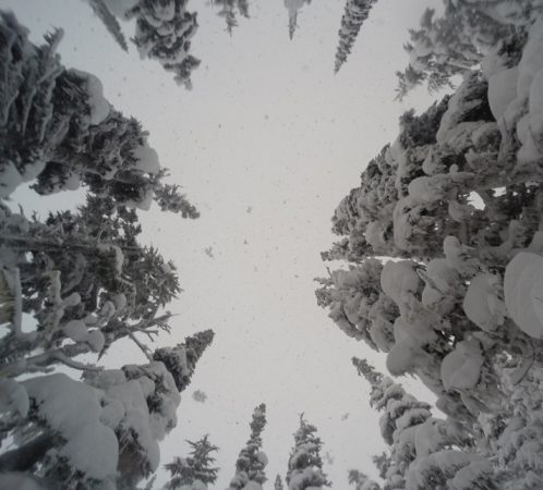 When it's this deep, you see this view from time to time.