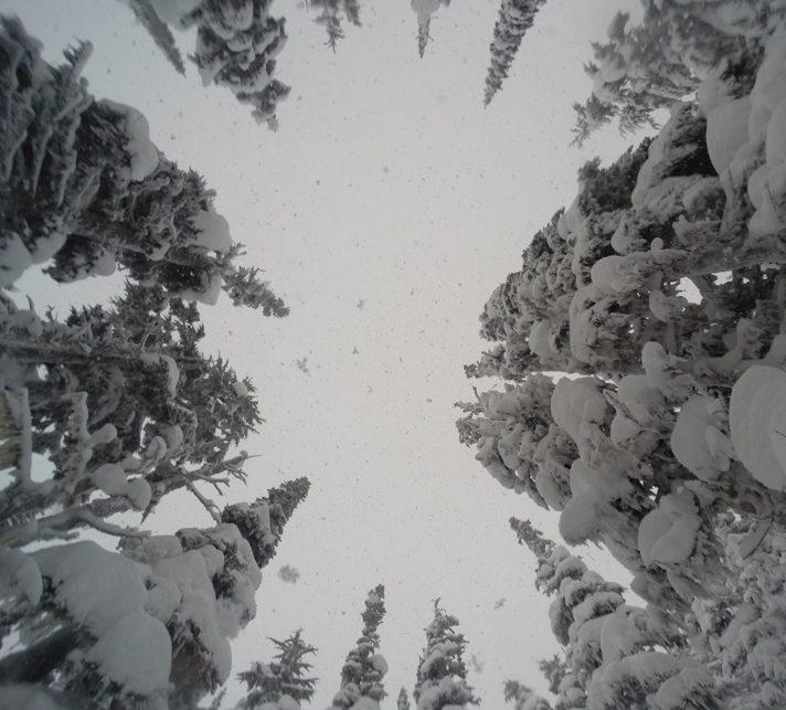 When it's this deep, you see this view from time to time.