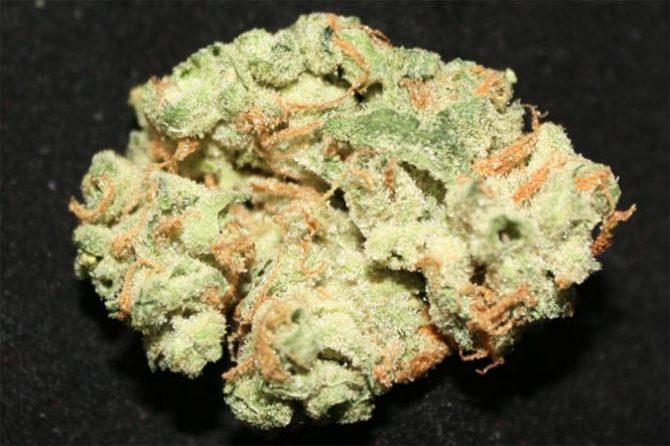 weed3