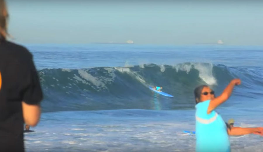 The surfing dogs in this video would probably much rather a day at the park.