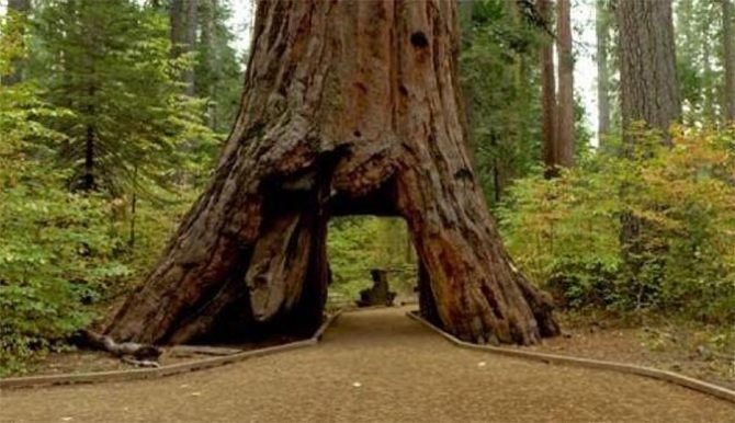 Photo: California Department of Parks and Recreation