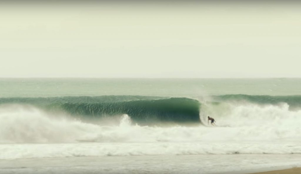 Mick Fanning and his new toy. The snake.
