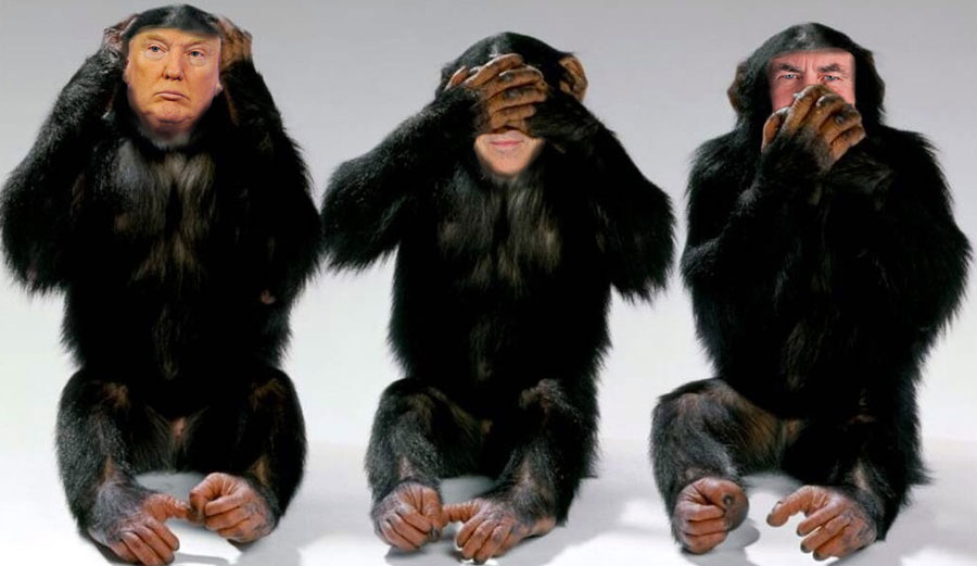 From left to right: President Trump, Energy Secretary Rick Perry, and Secretary of State Rex Tillerson, hard at work.