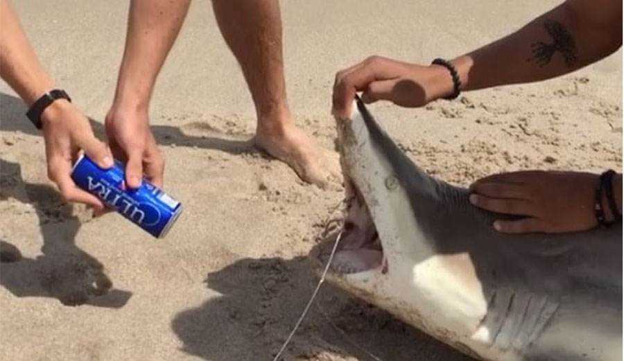 Apparently, this clip was shot on (unsurprisingly) Spring Break, where stupid is the norm.