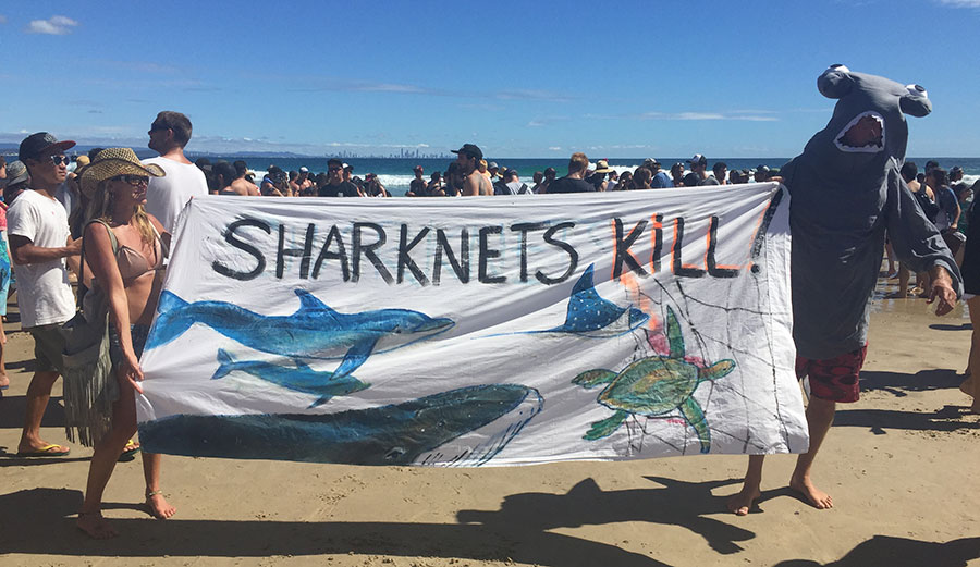 The planned protest was one of many the group has held since its inception in 2004 by professional free surfer Dave Rastovich and artist Howie Cooke. Photo: Diener