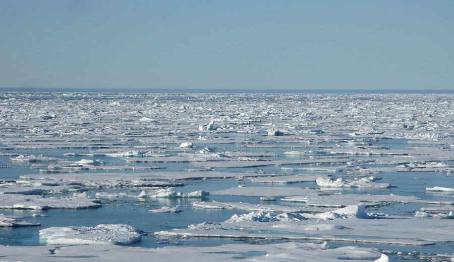 Sea ice in the Arctic. Photo: Tom Rippeth